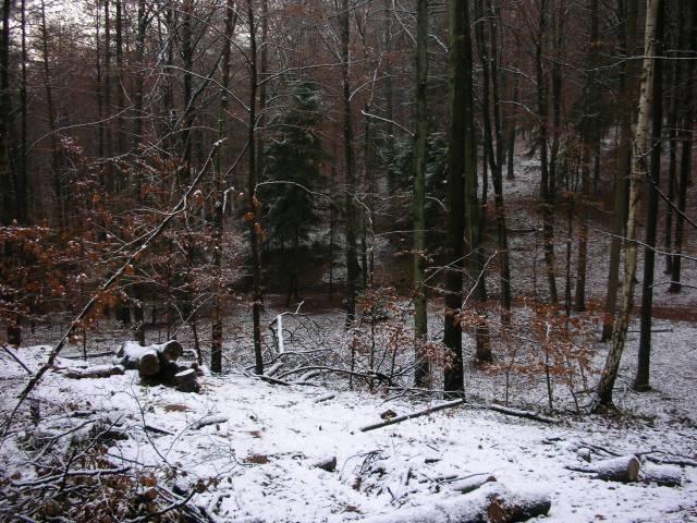 DSCN1480.JPG