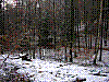 DSCN1480.JPG