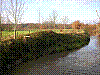 DSCN1489.JPG