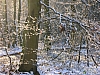 Sneeuw en zon langs Gr571